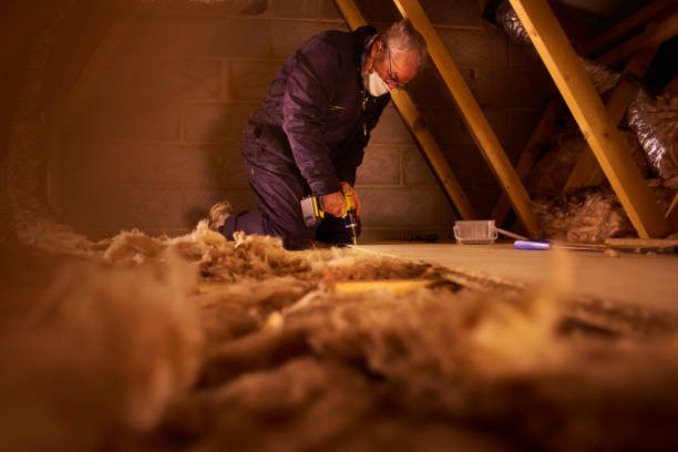 Best Eco-Friendly or Green Insulation Solutions  in Earlysville, VA